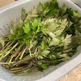 よもぎ茶 レシピ 作り方 By ゆにぽこ 楽天レシピ よもぎ茶 レシピ 作り方 By ゆにぽこ 楽天レシピ